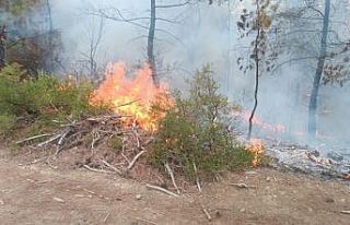 Kozan’da orman yangını