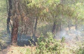 Kozan’daki orman yangını kontrol altına alındı