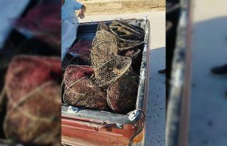 Kullanılması yasak olan 100 metrelik ağı göletten...