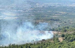 Kuşadası’ndaki orman yangını büyümeden söndürüldü