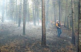 Kütahya’da orman yangını büyümeden kontrol...