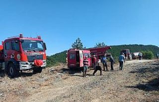 Kütahya’daki orman yangını kontrol altına alındı