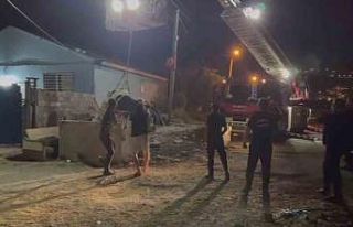 Kuyuya düşen inek, vinçle kurtarıldı