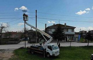 Leyleklerin geçiş yollarında 5 milyon liralık...