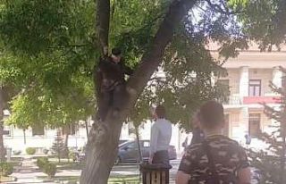 Maaşını alamayan vatandaş valilik önünde ağaca...