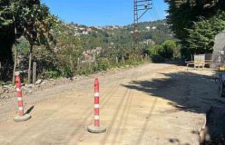 Mahalleliden 35 haneye doğalgaz hattı getirmeyen...