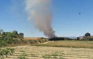 Manavgat’ta orman yangını kontrol altına alındı