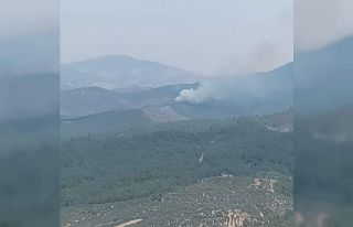 Manisa’da orman yangını