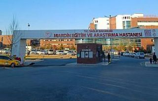 Mardin’de kardeş kavgasında ağabey öldü