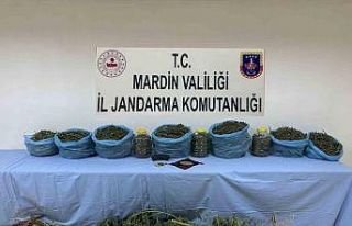 Mardin’de uyuşturucu operasyonunda 1 tutuklama