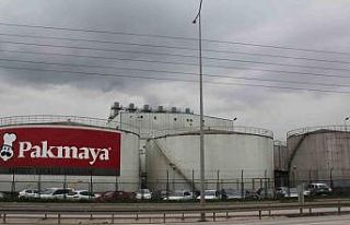 Maya kokusuna acil çözüm bekleniyor