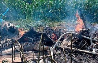 Meksika’da helikopter kazası: 4 ölü