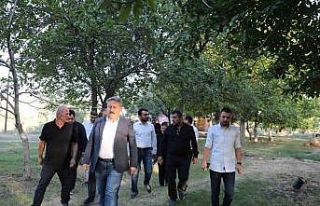 Melikgazi’den sokak hayvanlarına destek