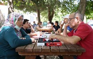 Merkezefendili büyüklere satranç, akıl ve zeka...