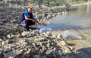 Mersin’de Dereyurt Göletine 15 bin sazan balığı...