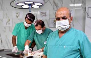 Mersin’de kontrolsüz üremenin önüne geçmek...