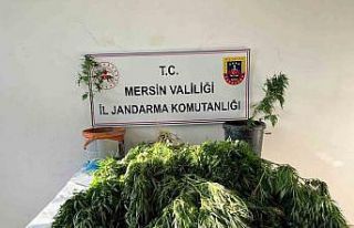 Mersin’de uyuşturucu satıcılarına operasyon:...