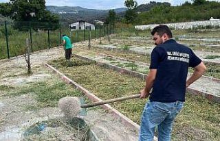 Mezarlıklarda bakım ve temizlik çalışmaları...
