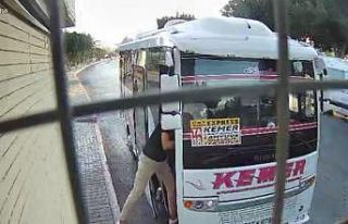 Midibüs şoförü ile yavru köpeğin inatlaşması...