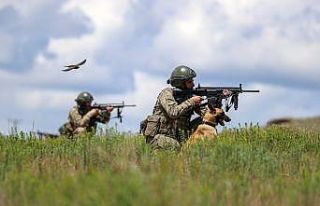 MSB, sınır hattında 12 kişinin yakalandığını...