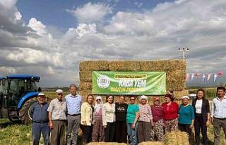 Muğla Büyükşehirden üreticilere ücretsiz yem...