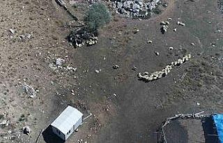 Muğla yaylalarına ‘Çoban Evi’