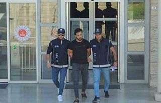 Muğla’da 9 düzensiz göçmen ve bir organizatör...