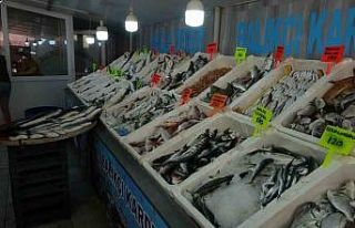 Muğla’da taze balıklar tezgahlardaki yerini aldı