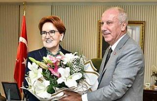 Muharrem İnce, Meral Akşener ile görüştü