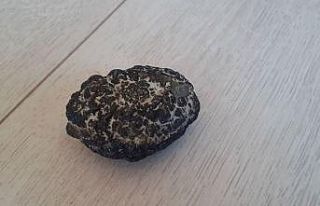 Muhtar bulduğu taşın incelenmesini istiyor