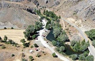 Muhtarın doğa sevgisi bozkırı vahaya dönüştürdü