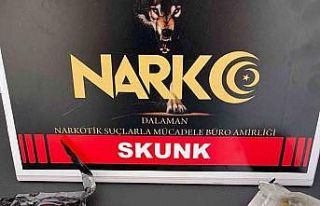 Narkotik ekiplerinden 21 noktada uyuşturucu operasyonu