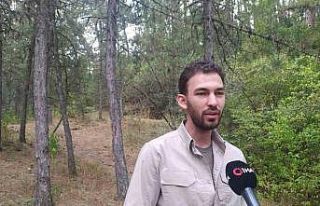 Nesli tükenmekte olan ve 1974’ten beri görülmeyen...