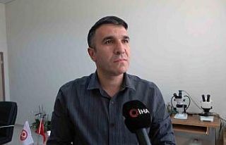 O örümcekle ilgili uzmanlardan rahatlatan açıklama