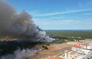 Orman yangını dron ile görüntülendi