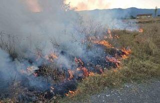 Örtü yangınına hortumla müdahale ettiler