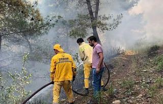Osmaniye Düziçi ilçesinde orman yangını başladı