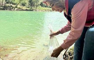 Osmaniye’de Tahta Barajı’na 20 bin pullu sazan...