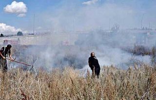 Ot yangınında ortalığı alev sardı