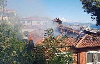 Otluk alanda çıkan yangın, çam ağacının kozalağından...