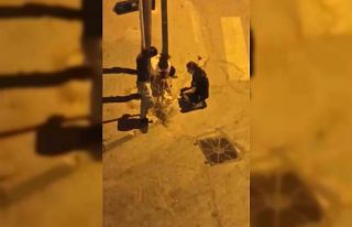 Otomobil çarpan kediye hemşireler dakikalarca kalp...