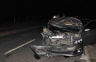 Otomobil domuz sürüsüne çarptı: 2 yaralı