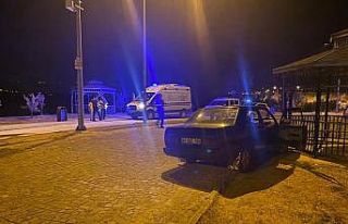 Otomobil kamelyaya çarptı