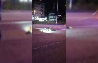 Otomobilin çarptığı tır sürücüsü hayatını...