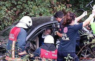 Otoyolda yoldan çıktı ağaçlık alana girdi