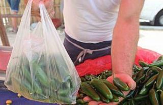 (ÖZEL) Bu yıl turşuluk ürünlerde acı biber revaçta