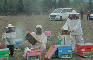 (Özel)  Gökkuşağı renkleriyle bal üretimi