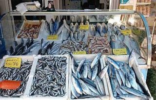 Palamut sürpriz yaptı