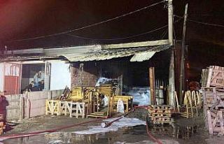 Palet dükkanında çıkan yangının dumanları gökyüzünü...