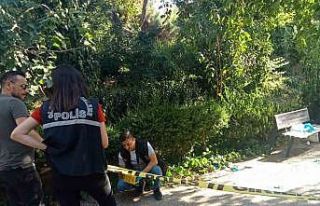 Parkta buluştuğu eski eşini tabancayla öldürdü